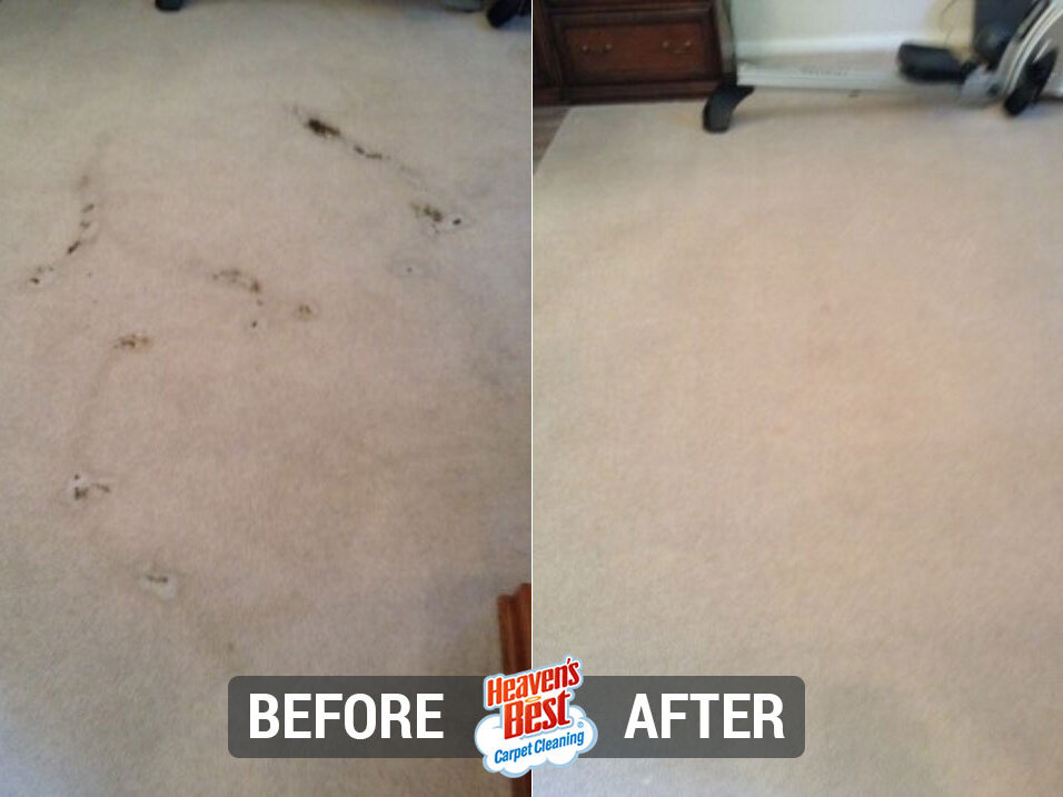 Heaven's Best Carpet Cleaning of Central PA